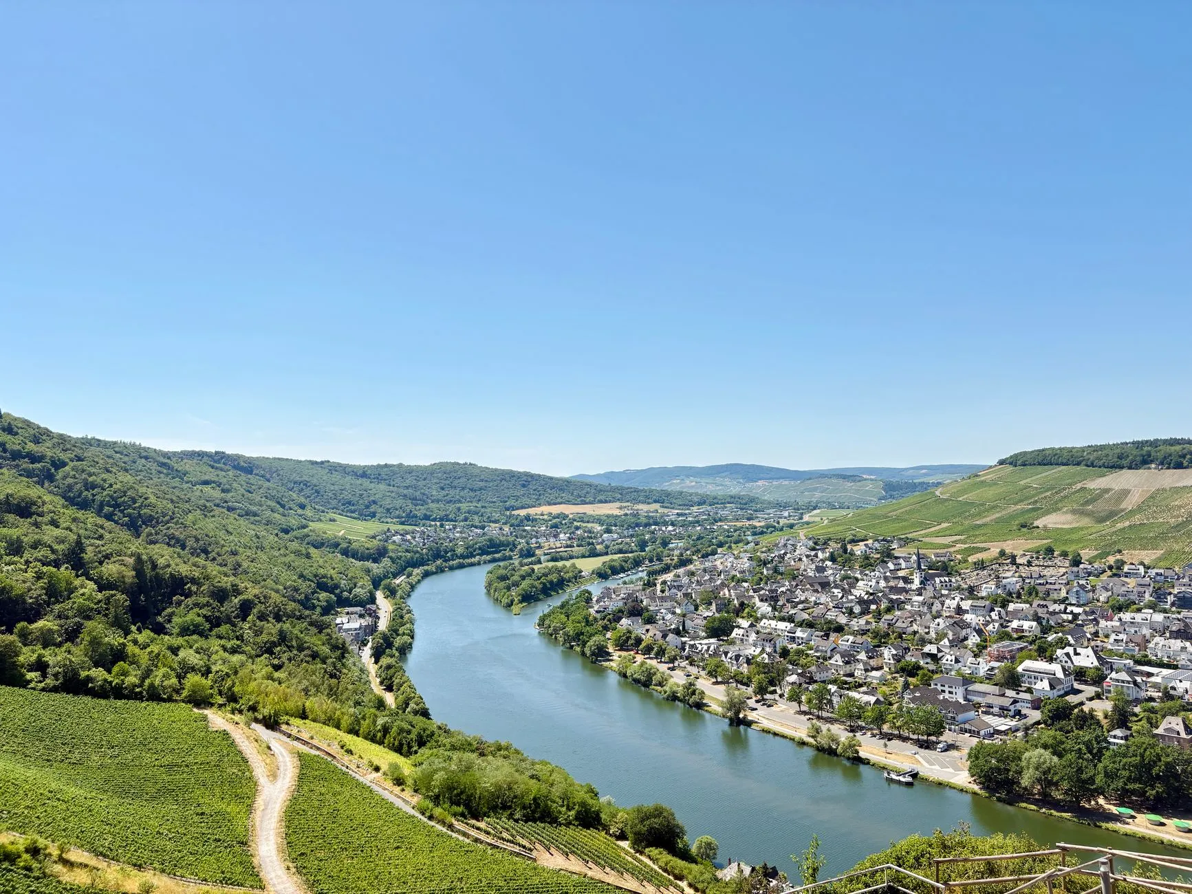 Sonniges Moseltal mit grünen Weinbergen und Flussschleife